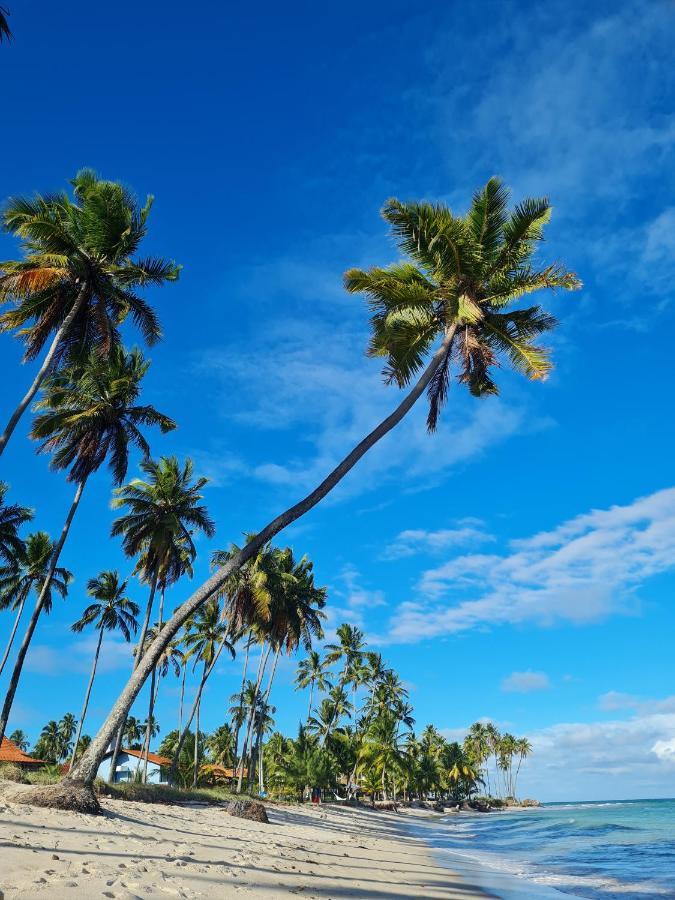 Flat Praia Dos Carneiros Tamandaré Eksteriør bilde